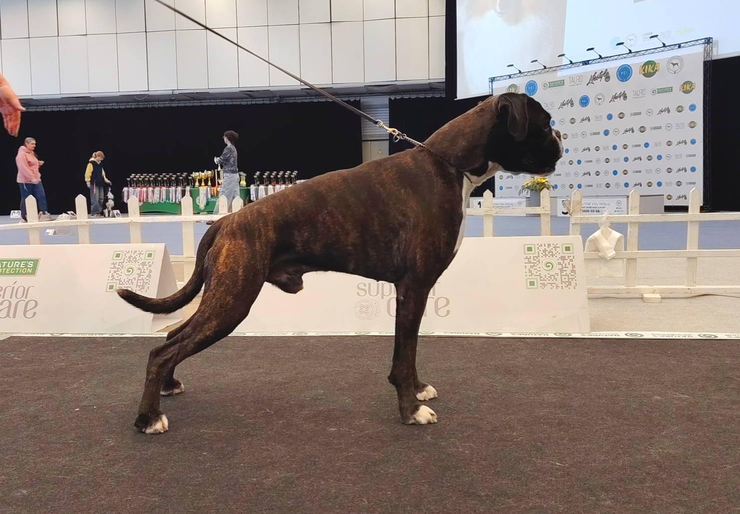 FI JMVA LT MVA TLN WCup-23 LTV-26 ZTP. Jack Frost  "Keijo" 